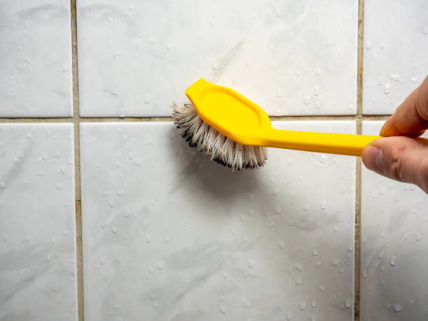 Best Toxic Mold Removal  in Blue Ridge, GA