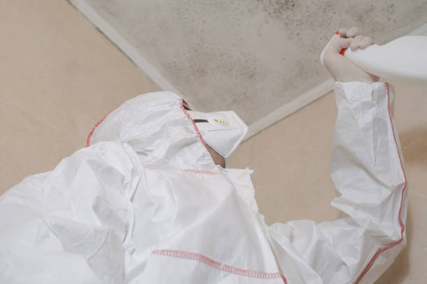 Best Mold Testing  in Blue Ridge, GA