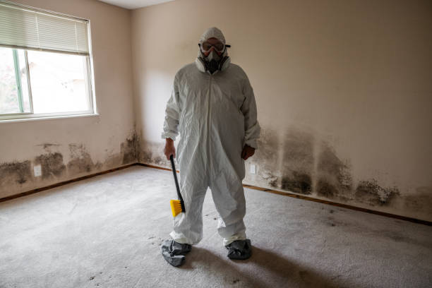 Best Mold Cleaning Services  in Blue Ridge, GA